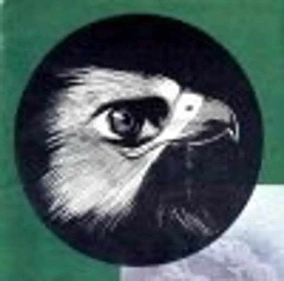 O Falcão 0251 1
