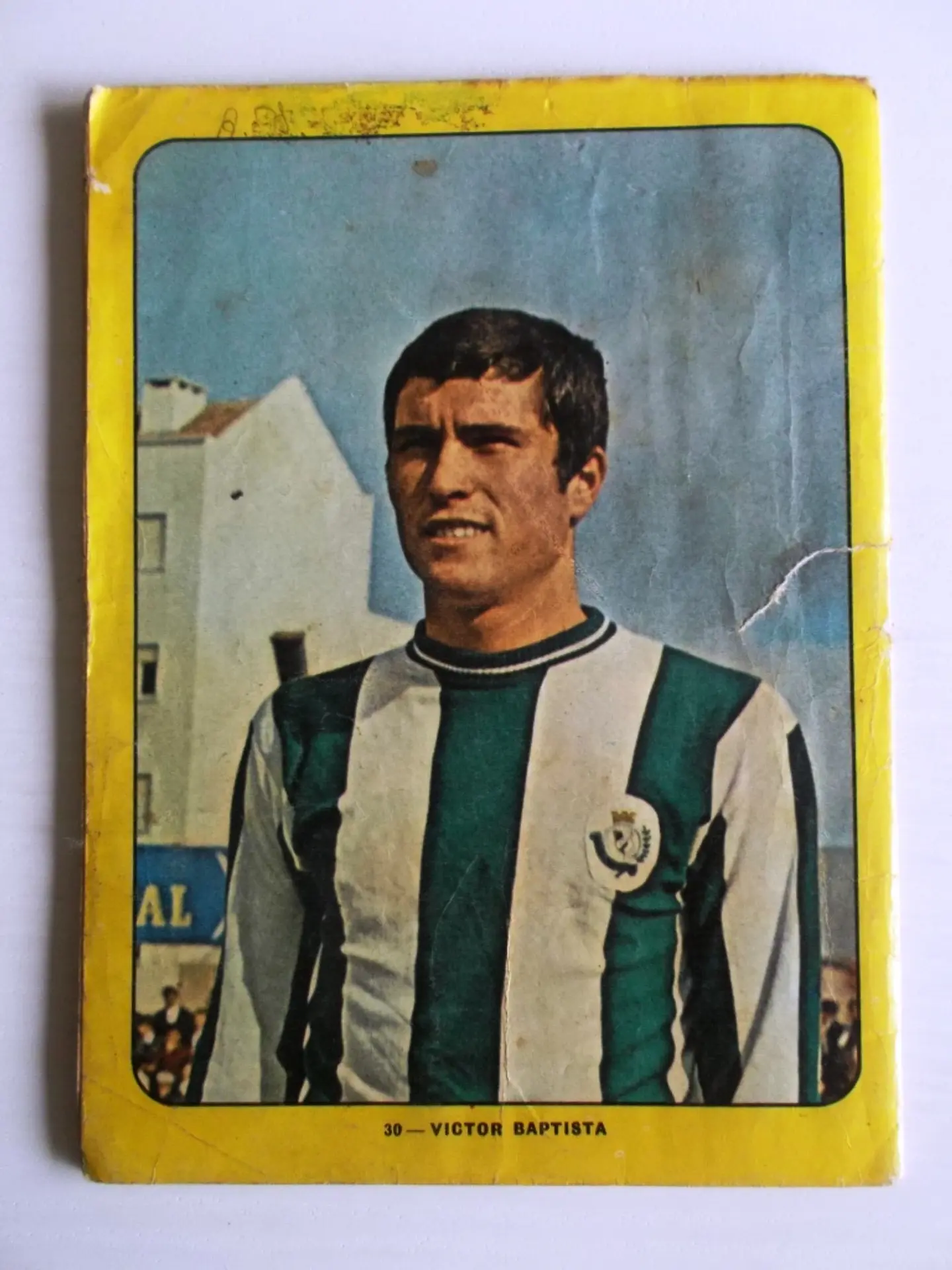 Escaravelho Azul 30 3