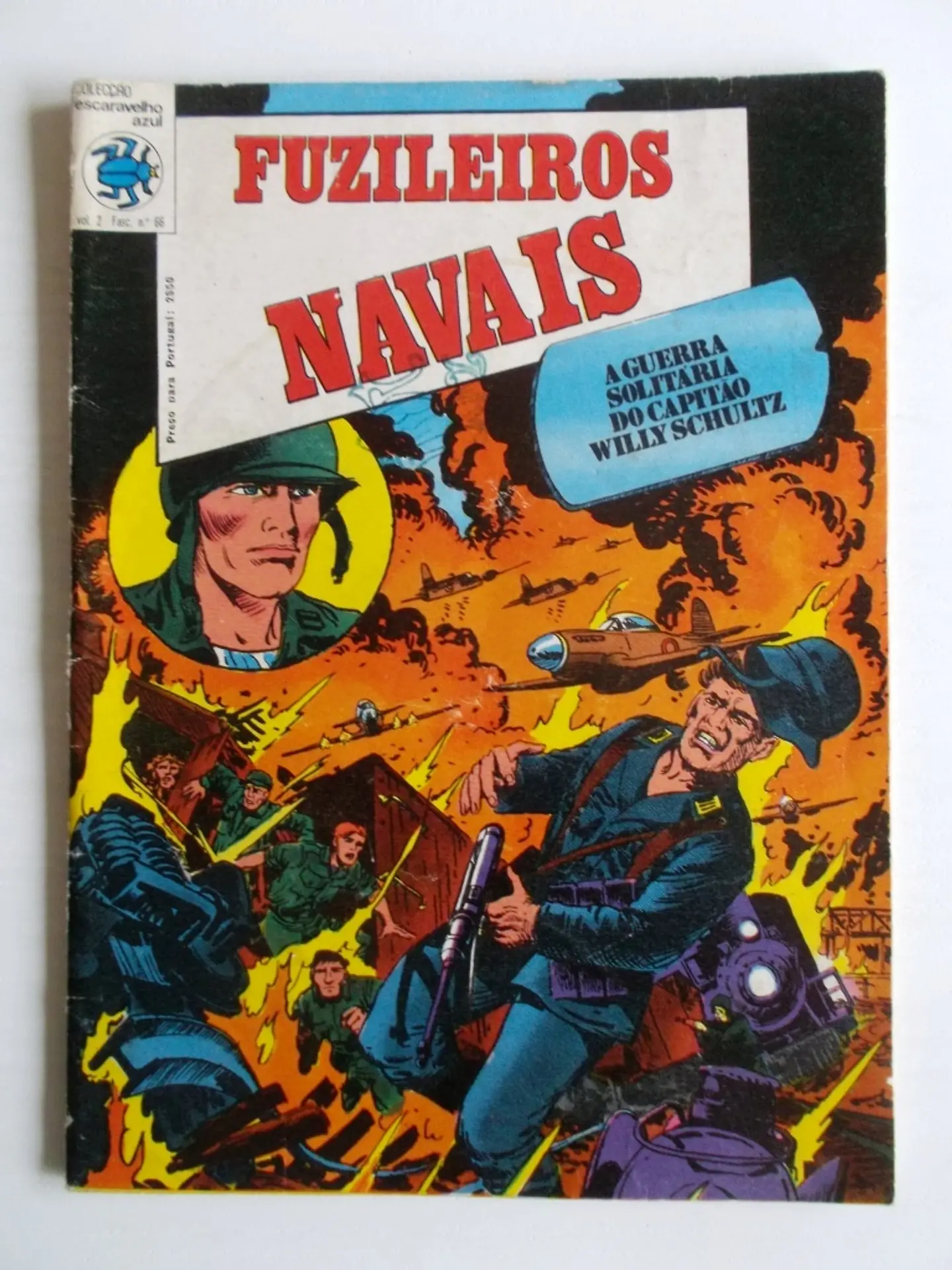 Escaravelho Azul 66 1