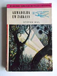 Argonauta 090 - thumbnail 1