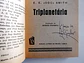Argonauta 259 - Thumbnail 4