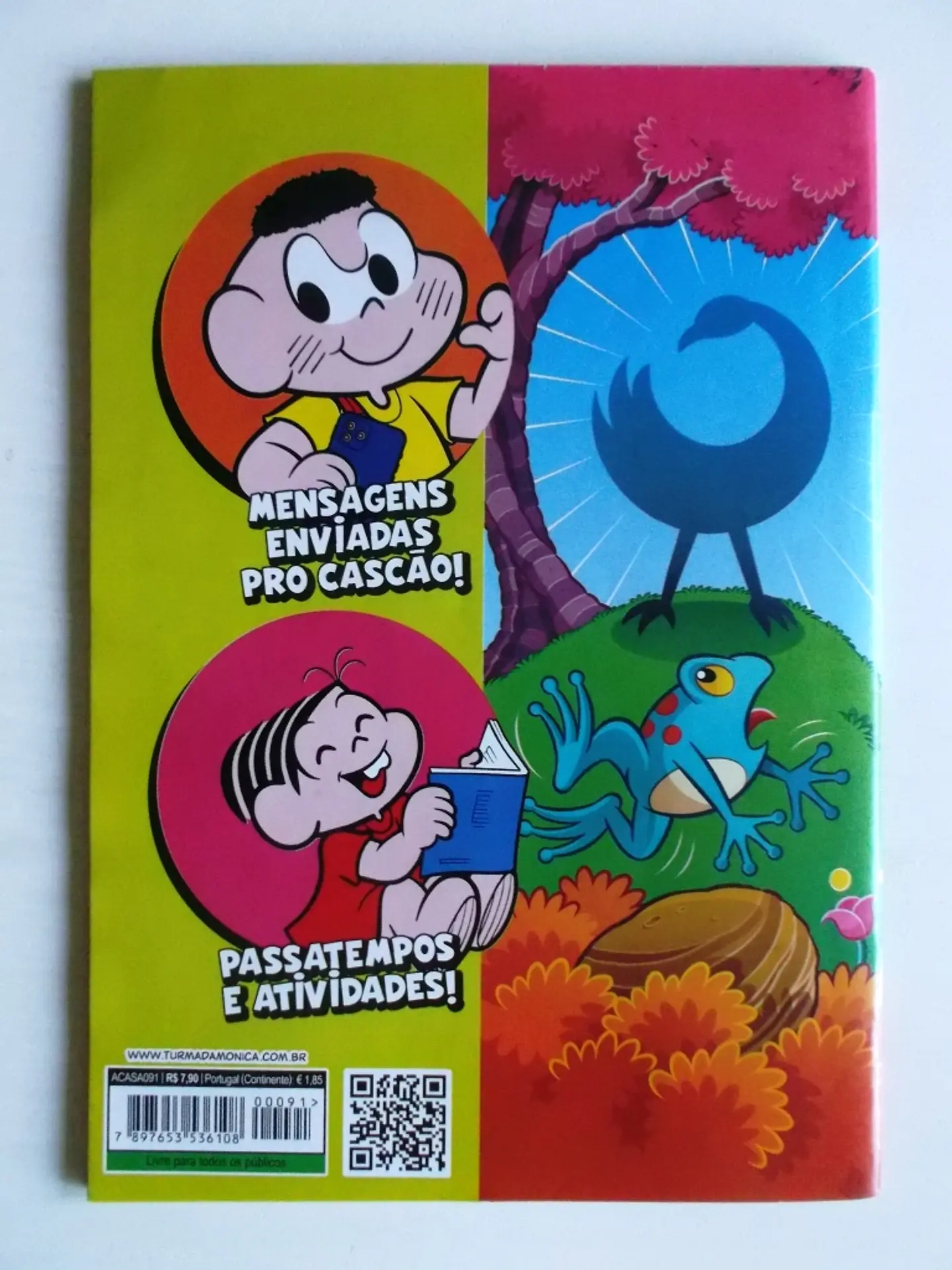 Cascão 091 2