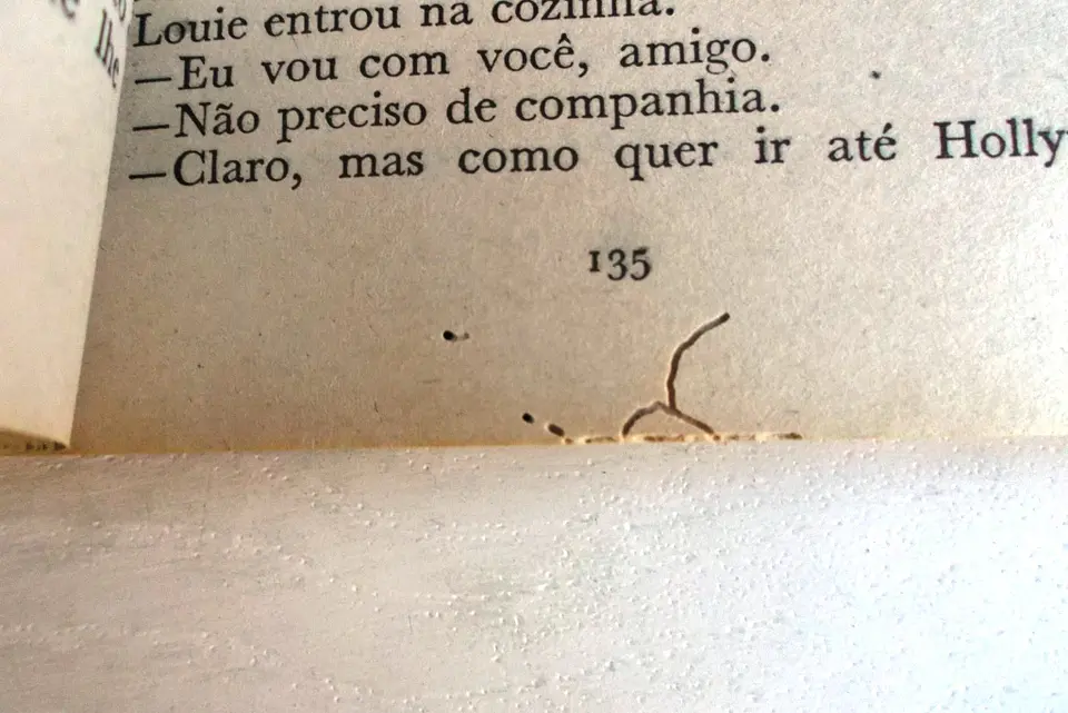Vampiro 120 - A chave e a fechadura  4
