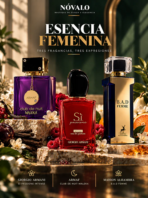 Pack Elegancia y Poder
