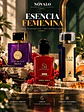 Pack Elegancia y Poder - Miniatura 1