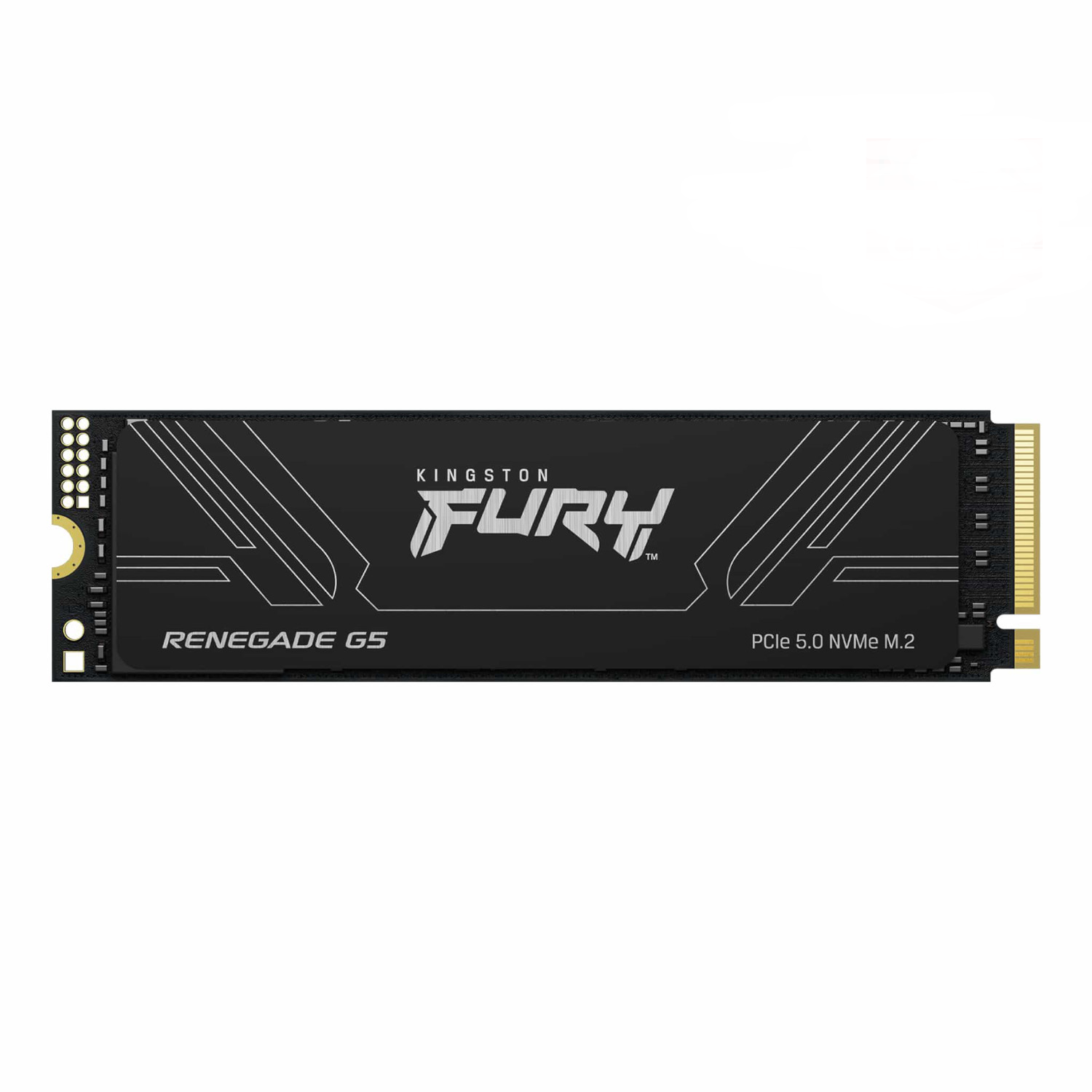 SSD Kingston FURY Renegade G5 NVMe 4TB 1