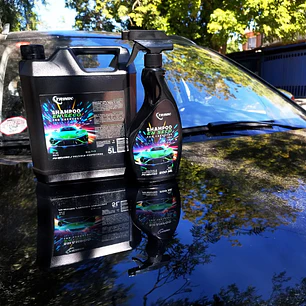 Shampoo Seco TRINIK 500ml