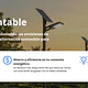 Iluminación Solar
