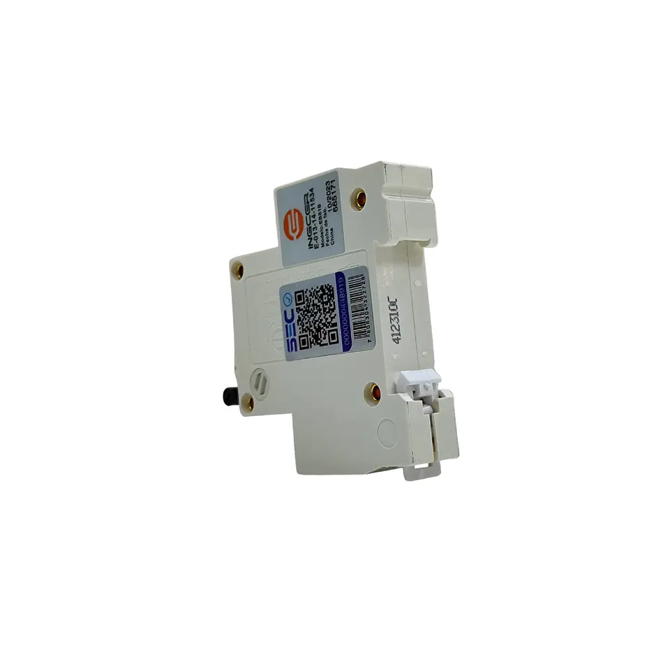Interruptor automatico 1x10A 7
