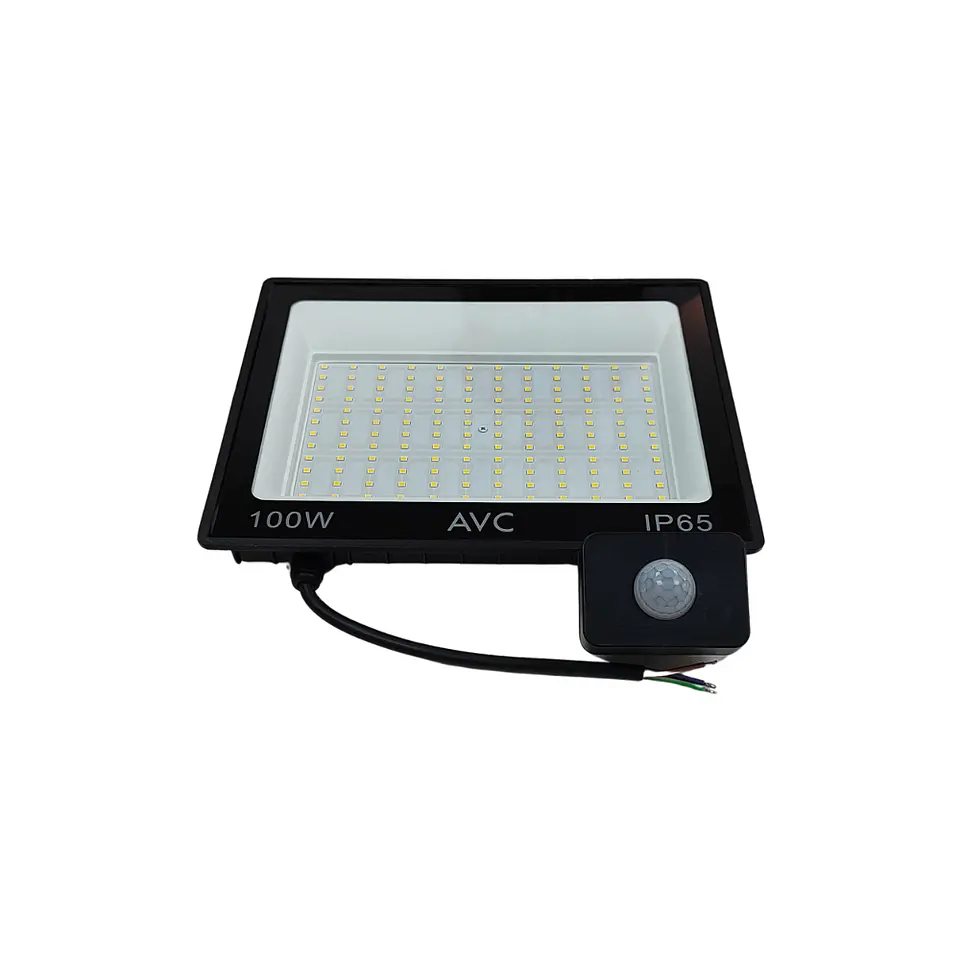 Proyector con sensor 100W 7