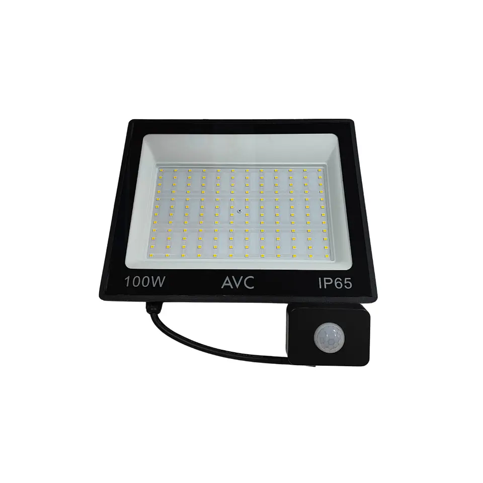 Proyector con sensor 100W 1