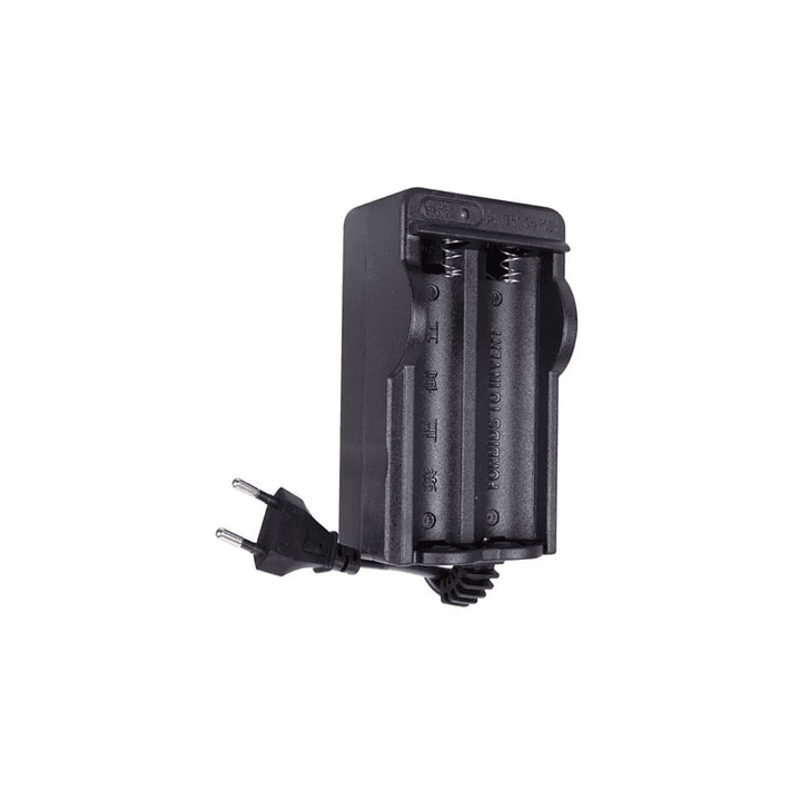 CARGADOR DOBLE 18650  1