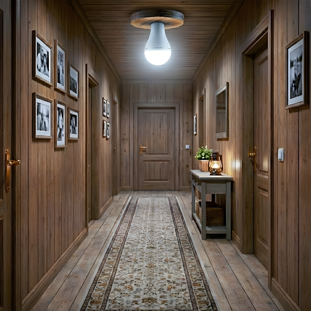 Apolleta EMERGENCIA 9W  2