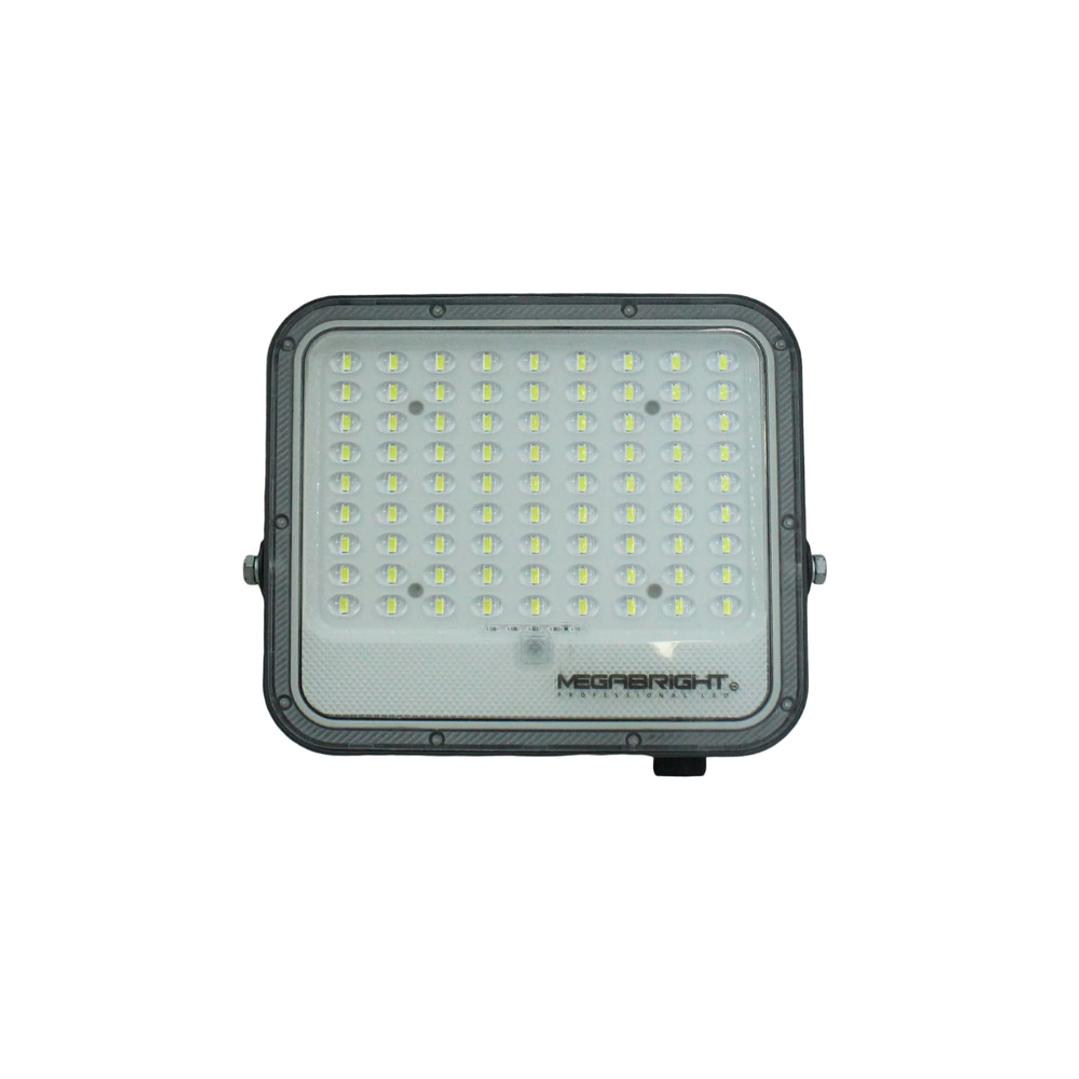 Proyector LED Solar 100W (incluye panel) 2