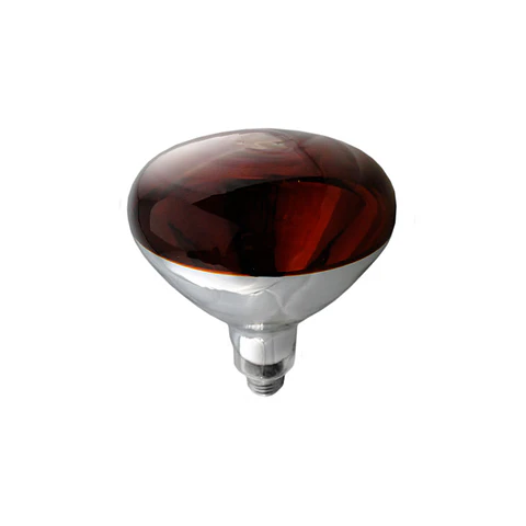 Ampolleta infraroja 250w