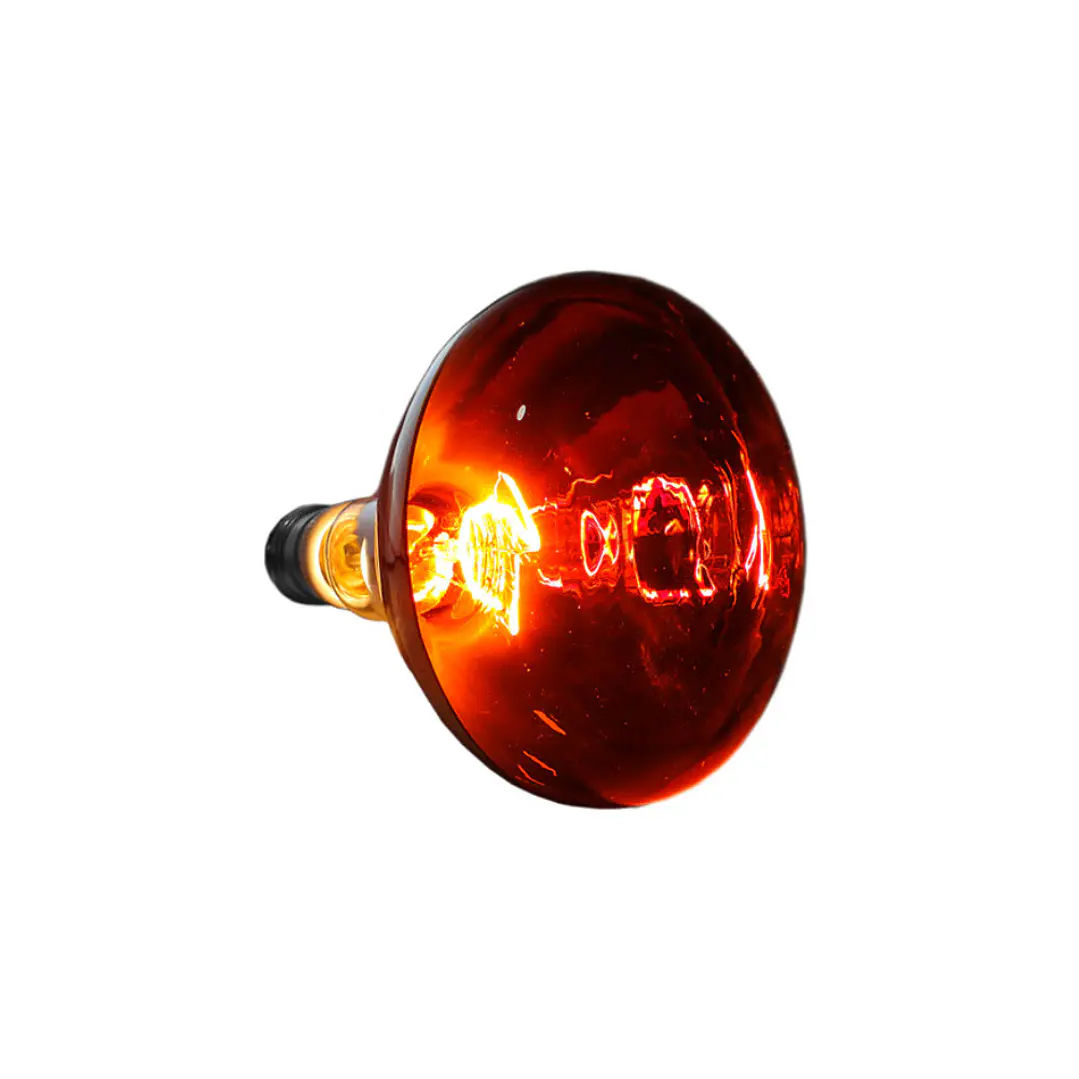 Ampolleta infraroja 250w 2