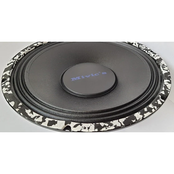 Parlante  10 Pulgadas Mivic's 3