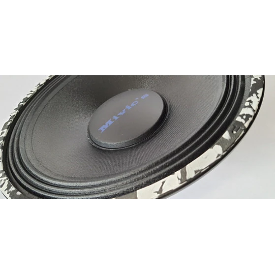 Parlante  10 Pulgadas Mivic's 4