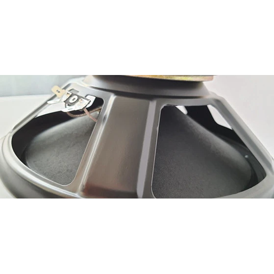 Parlante  10 Pulgadas Mivic's 5