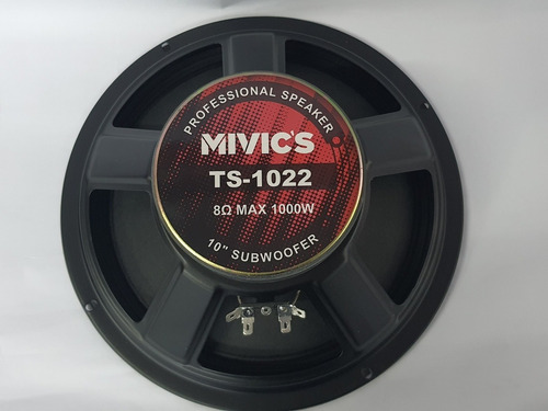 Parlante  10 Pulgadas Mivic's 6