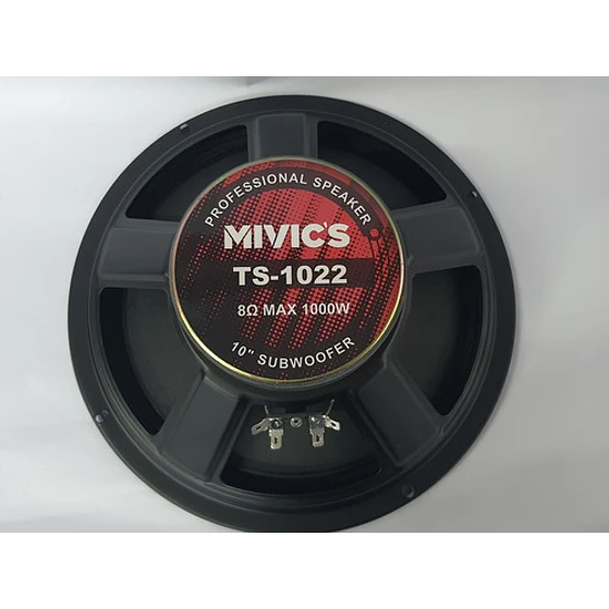 Parlante  10 Pulgadas Mivic's 6