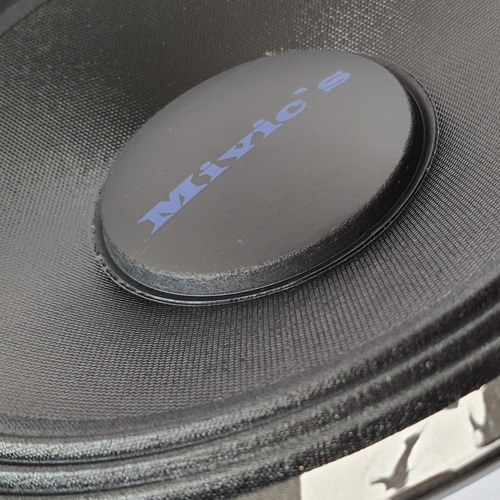 Parlante 12 Pulgadas  Mivic's 2