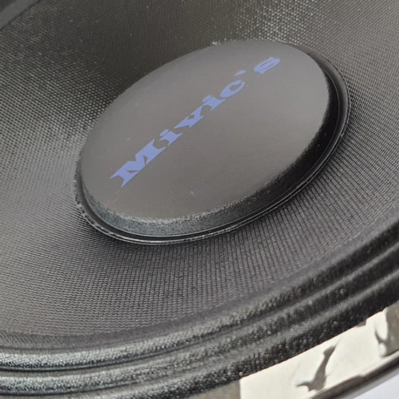 Parlante 12 Pulgadas  Mivic's 2