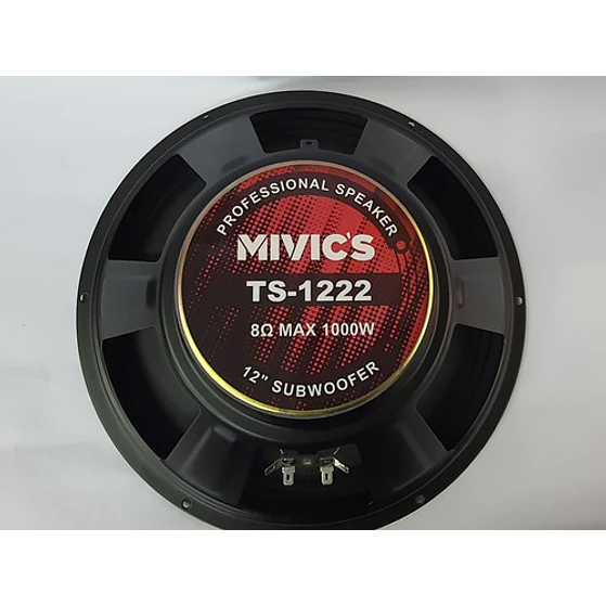 Parlante 12 Pulgadas  Mivic's 3