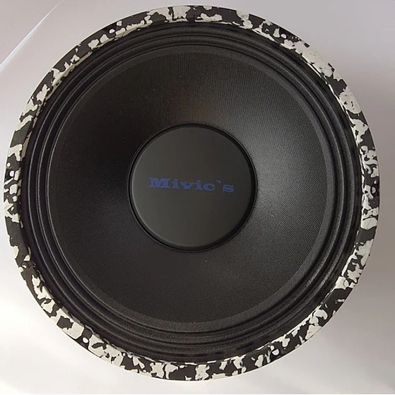 Parlante 12 Pulgadas  Mivic's 4