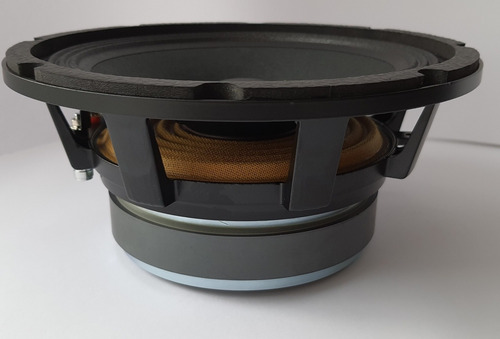 Parlante Profesional Mivic's 8 Pulgadas 400w  4