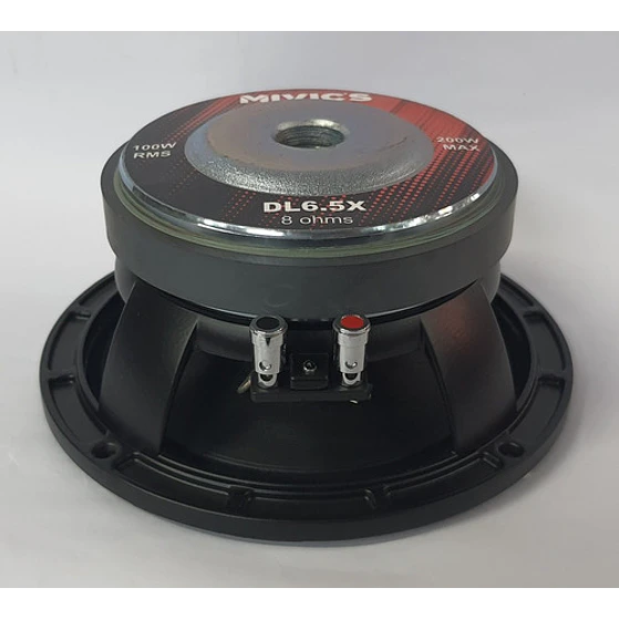 Parlante 6.5 Pulgadas 200watts Mivic's  4