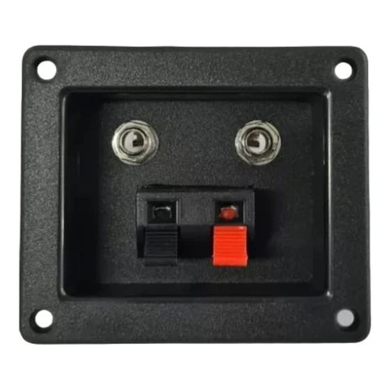 Conector De Caja Plug/pelo 1