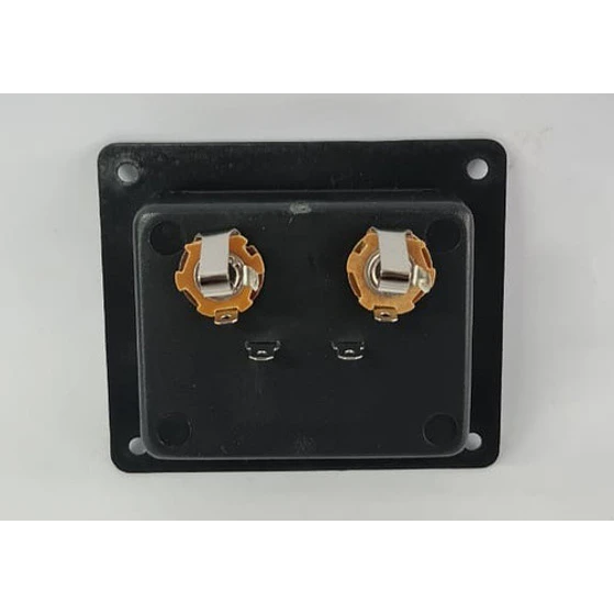 Conector De Caja Plug/pelo 2