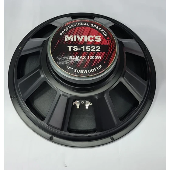 Parlante 15 Pulgadas Mivic´s 3