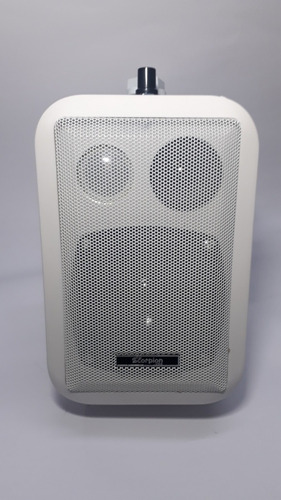 Par De Parlantes Ambientales Muro Scorpion 4