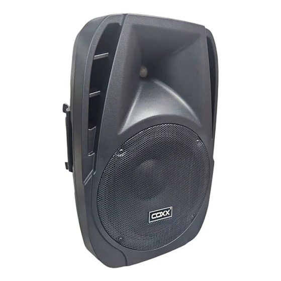 Parlante 12 Pulgadas Pasivo Coxx 1