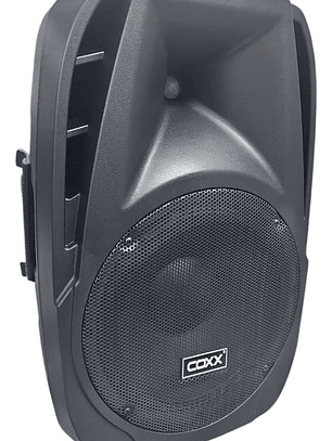 Parlante 12 Pulgadas Pasivo Coxx