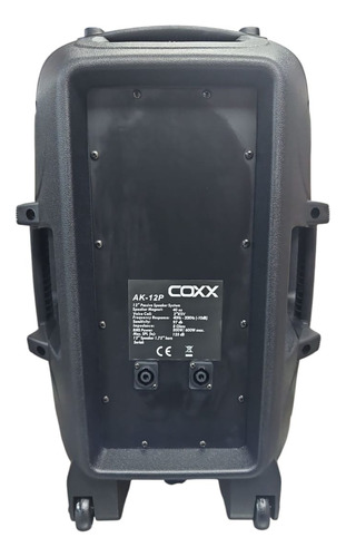 Parlante 12 Pulgadas Pasivo Coxx 2