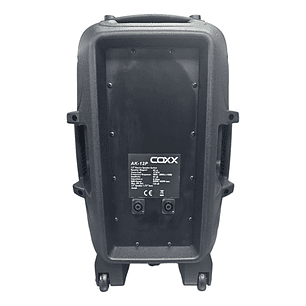 Parlante 12 Pulgadas Pasivo Coxx