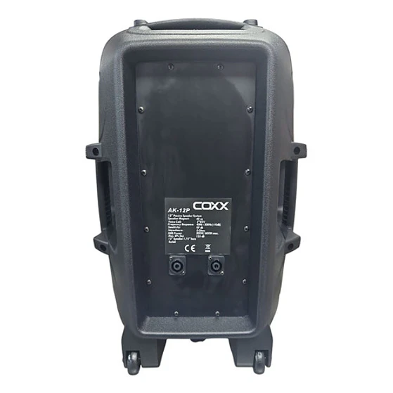 Parlante 12 Pulgadas Pasivo Coxx 2