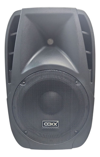 Parlante 12 Pulgadas Pasivo Coxx 3