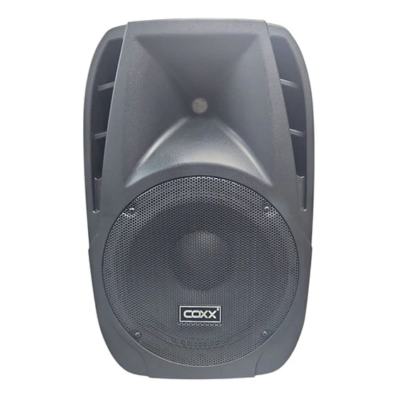 Parlante 12 Pulgadas Pasivo Coxx 3