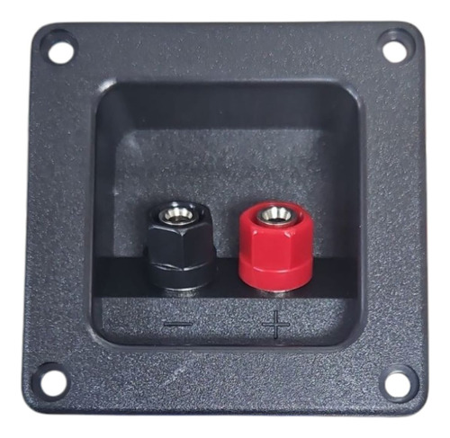 Terminal Caja Acustica Tipo Borner 1