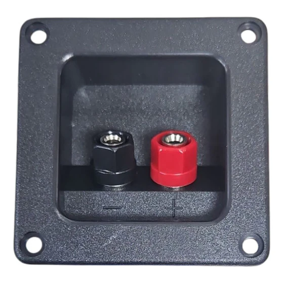 Terminal Caja Acustica Tipo Borner 1