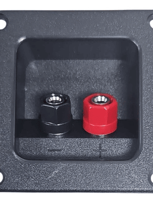 Terminal Caja Acustica Tipo Borner