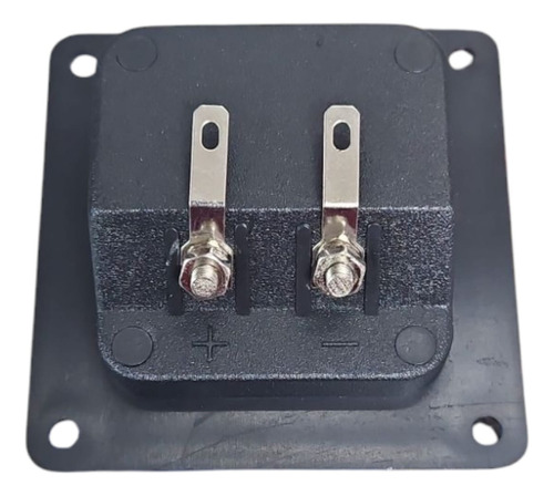 Terminal Caja Acustica Tipo Borner 2