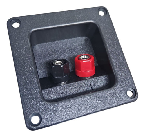 Terminal Caja Acustica Tipo Borner 3