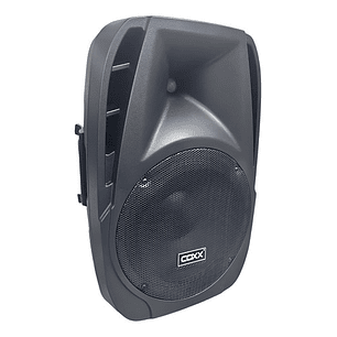 Parlante 12 Pulgadas Pasivo Coxx
