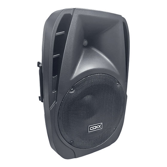 Parlante 12 Pulgadas Pasivo Coxx 1