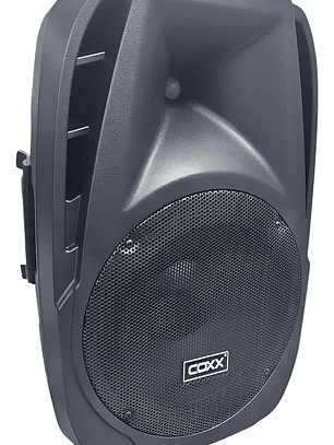 Parlante 12 Pulgadas Pasivo Coxx